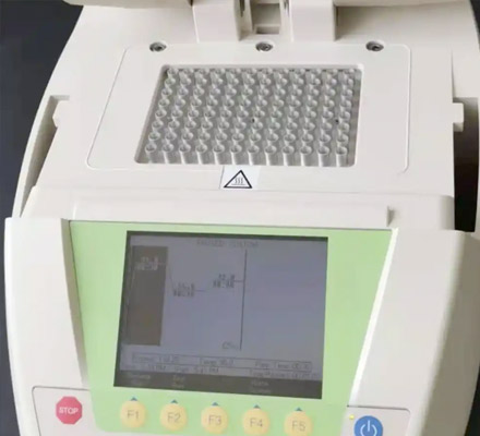 PCR仪3Q确认
